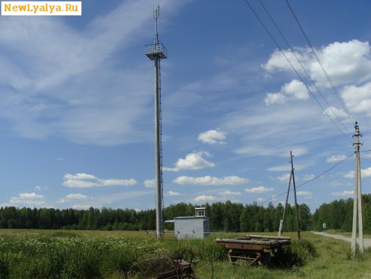 Вышки сотовой связи МОТИВ в поселке Заболотный
