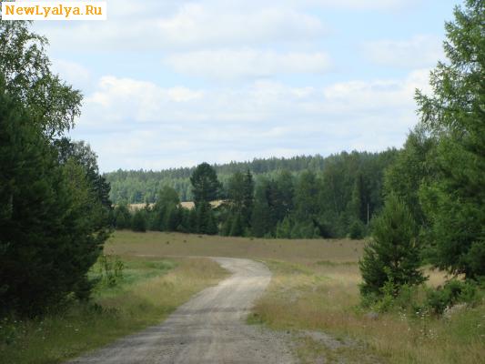 Дорога в поселок Заболотный (за 105 горой)