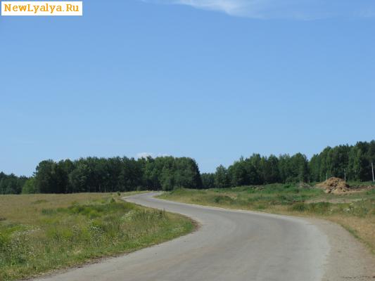 Дорога в сторону села Караульское от деревни Савинова