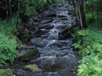 Ручей в лесу, который впадает в реку Ляля