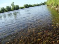 Река Ляля в окрестностях деревни Савинова