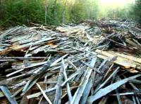 Незаконная вырубка леса в районе реки Нясьма